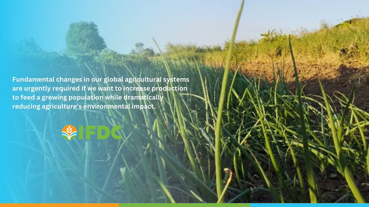 IFDCMozambique's tweet photo. What's the IFDC's approach to feeding the World?
Discover here today!: https://t.co/oHuiGlI2kS
Also take a look at our #TEAMSProgram in Mozambique progress: https://t.co/1TUhmJ8ZGu https://t.co/6S00fzIsiw