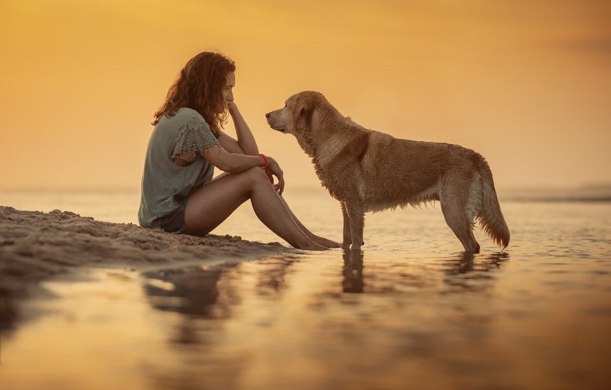 Lillian83953381's tweet photo. One reason a dog can be such a comfort when you're feeling blue is that he doesn't try to find out why. @Lillian83953381 

#dogs #dogsoftwitter #dogslife #dogsarefamily #dogsarethebest #dogslover #canineweekly https://t.co/QIY6jrx21R