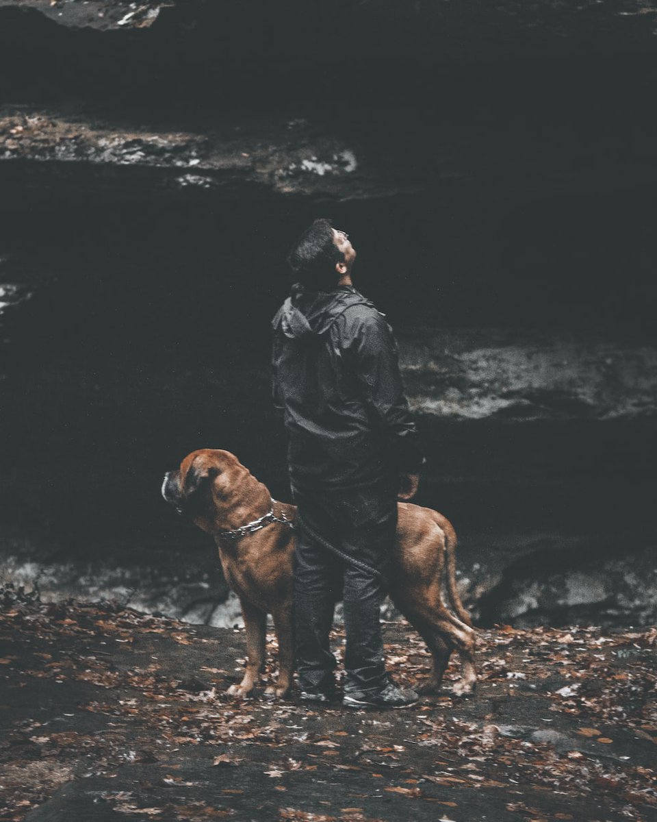 VictorHendrix20's tweet photo. You can judge a man's true character by the way he treats his fellow dog. @VictorHendrix20 

#dog #dogsoftwitter #dogslife #dogsarefamily #dogsarethebest #dogslover #canineweekly https://t.co/lpgZtlysEn