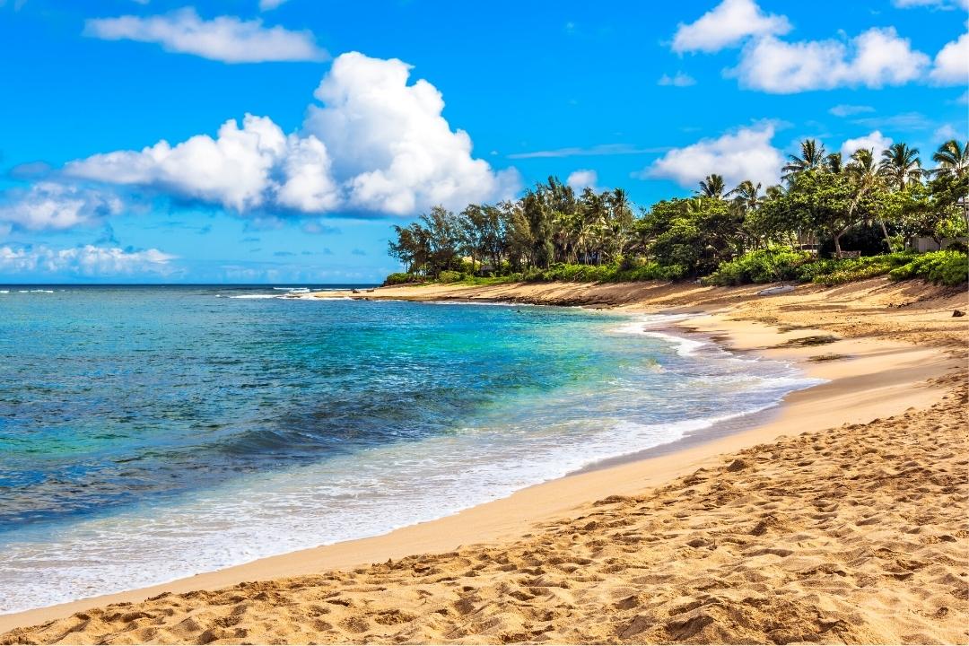 travsimHQ's tweet photo. Top 5 USA beaches to visit in June (2022 Vacation guide) https://t.co/wPdF8iSeGl

#usabeaches #june #vacation https://t.co/OUXx2Gn9TB