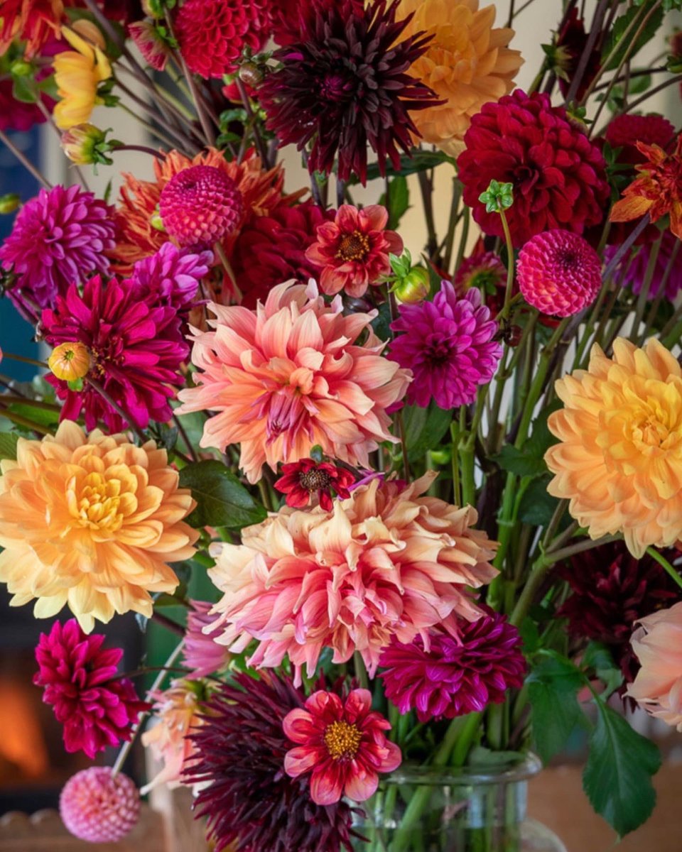 StemsOf's tweet photo. We have some beautiful ready made small posies to collect, all British flowers locally grown. £9.50.
We also have some gorgeous
Dahlias
Sedum
Alstroemerias
Brassica, all grown locally.
📞07521 911 432
#stemsoftaunton
#tauntonpremierflorist
#goodfloristguide https://t.co/U5qxd3AeSm