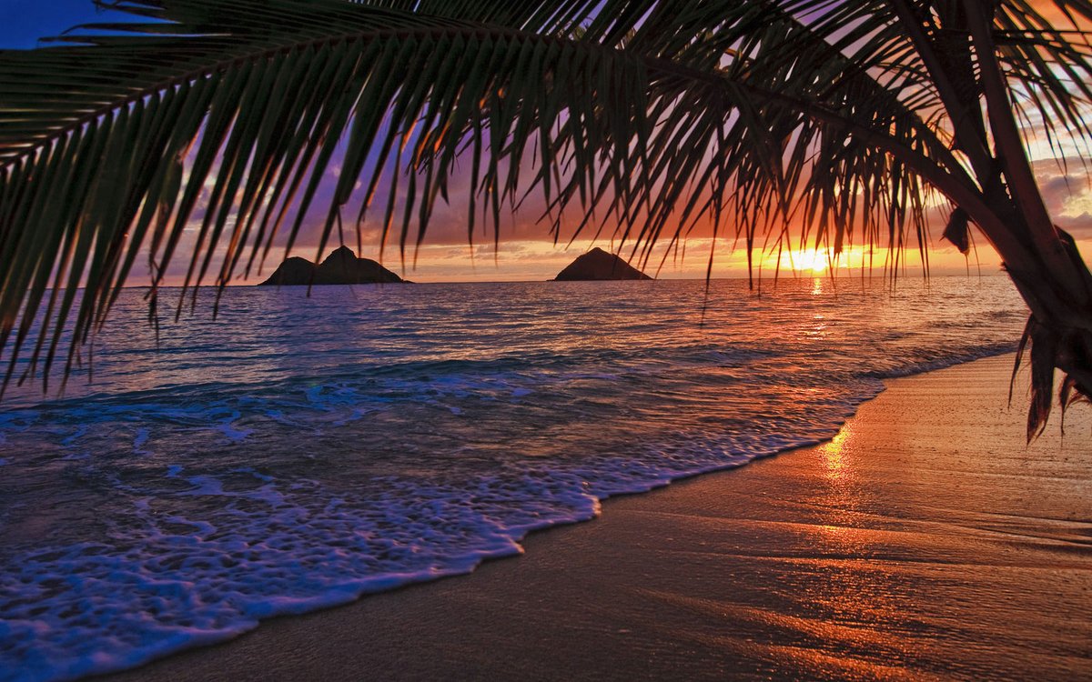travsimHQ's tweet photo. Top 5 USA beaches to visit in March (2022 Vacation guide) https://t.co/fyYUk5m2qG

#usabeaches #march #vacation https://t.co/ZoilBABOqa