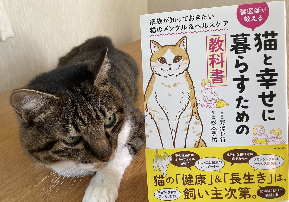 献本届いた!🐈今週9/30発売!
『猫と幸せに暮らすための教科書』

https://t.co/AQ4DO0n96G 