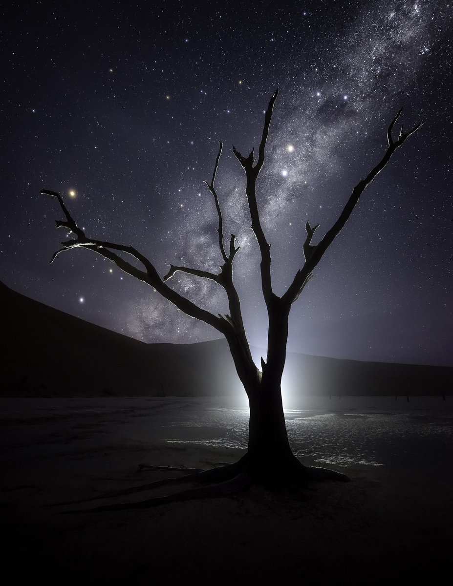 ryandyar's tweet image. Lone trees seem to just work easily as a subject to point my camera at for some reason.
