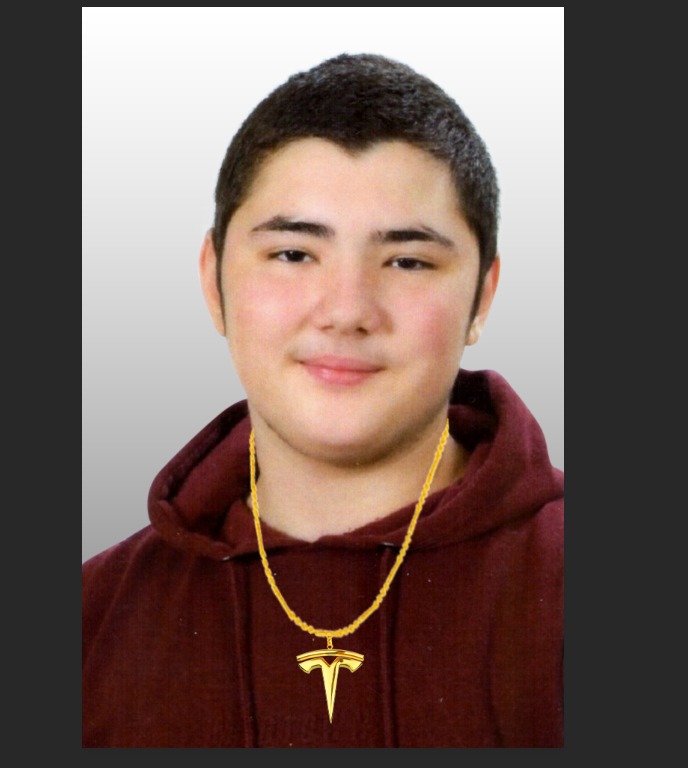 NecklaceTesla's tweet photo. We teenagers want to wear the Tesla logo as a necklace! Give us this opportunity, Mr. Musk! 
@elonmusk @Tesla https://t.co/mW6kNzjEWC