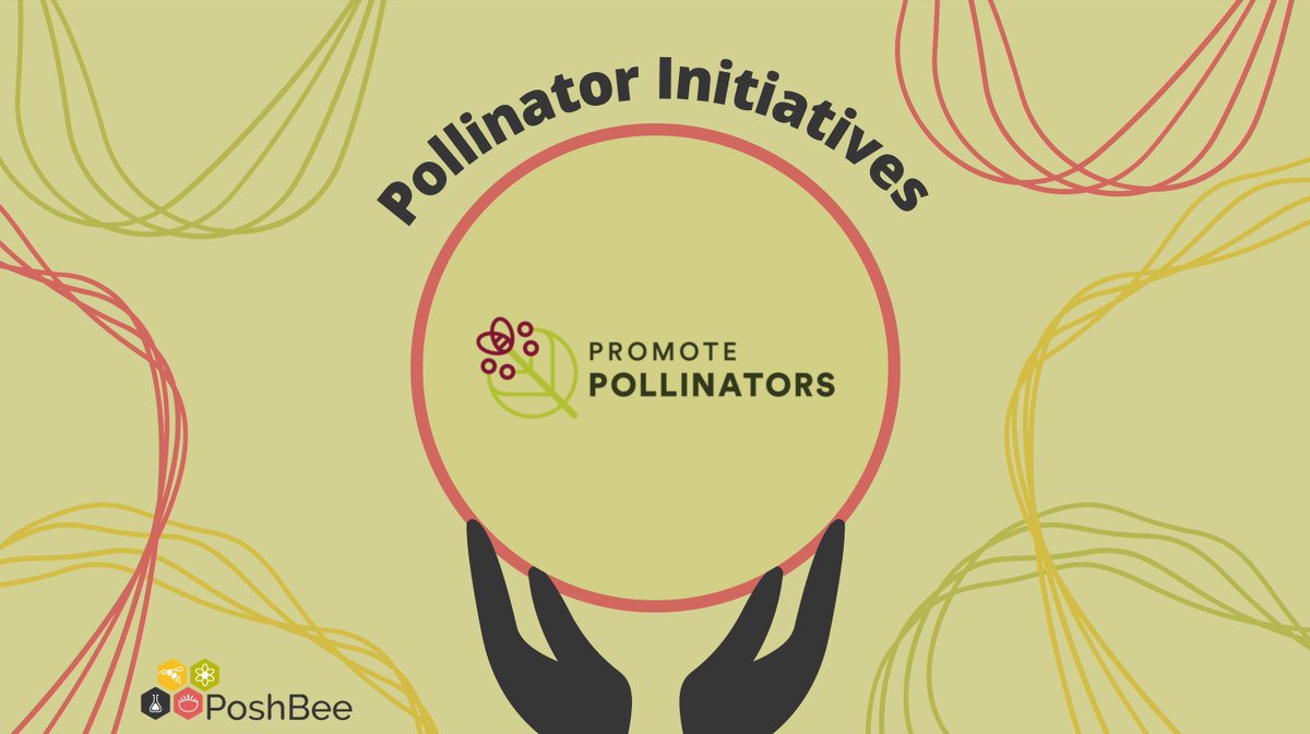 poshbee_eu's tweet photo. #PromotePollinators believes country-led politics can foster measures and innovative action to protect #pollinators, which are key for conserving biological diversity, ecosystems, food production and the global economy 🧡

🐝More about their work👉https://t.co/iY1A824y9t https://t.co/06QNFQ8zr8