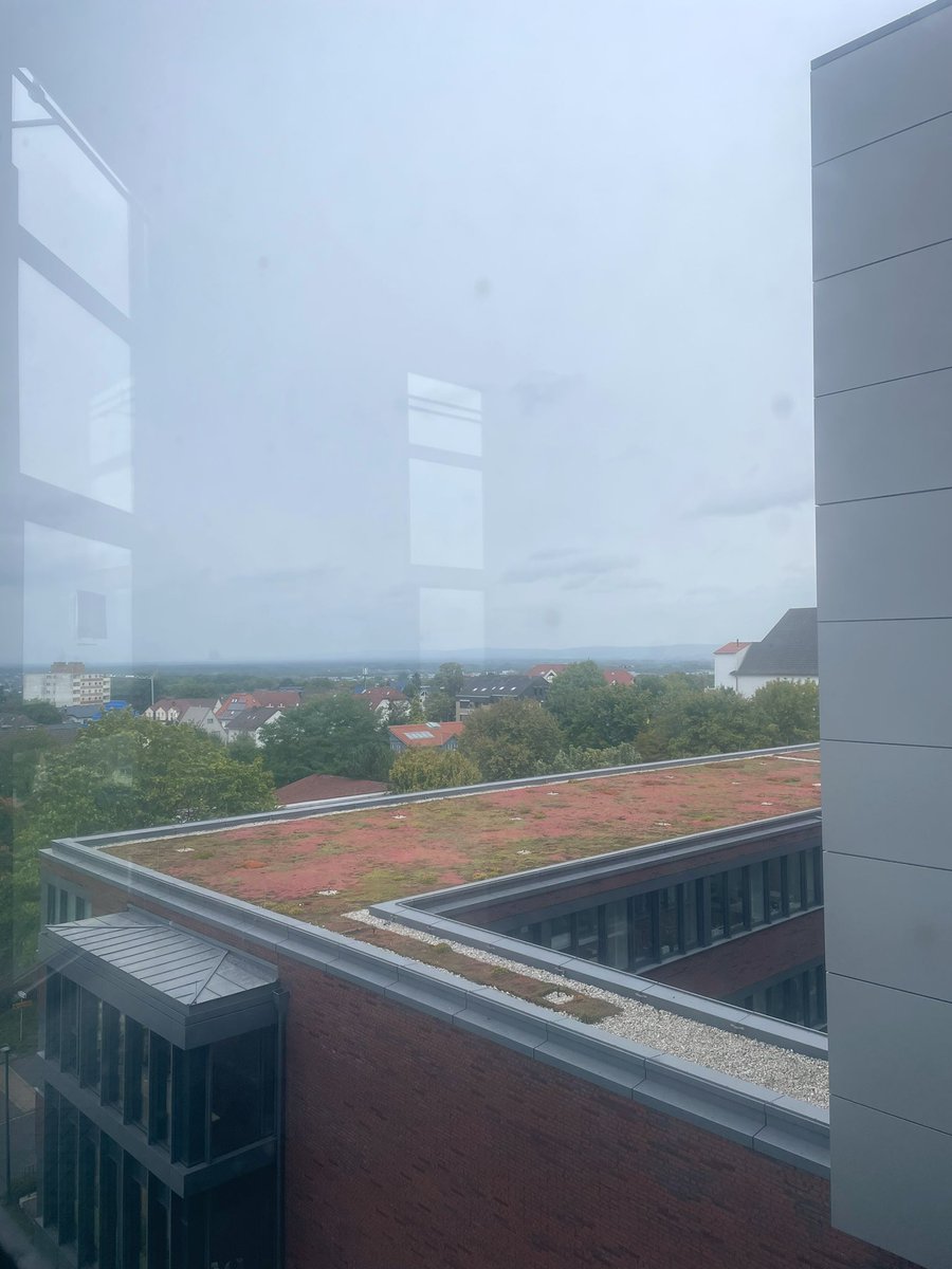 GgwliteraturUP's tweet photo. Spannende Einblicke und Perspektiven gab es gestern beim Panel zum Thema „Mehrdeutige Titel“ (u.a. mit @AntoniaVilling1).

(Hier Symbolbild: Ausblick) /kk

#Germanistentag #Germanistentag2022 #Germanistiktag https://t.co/gmEyjqVp4o