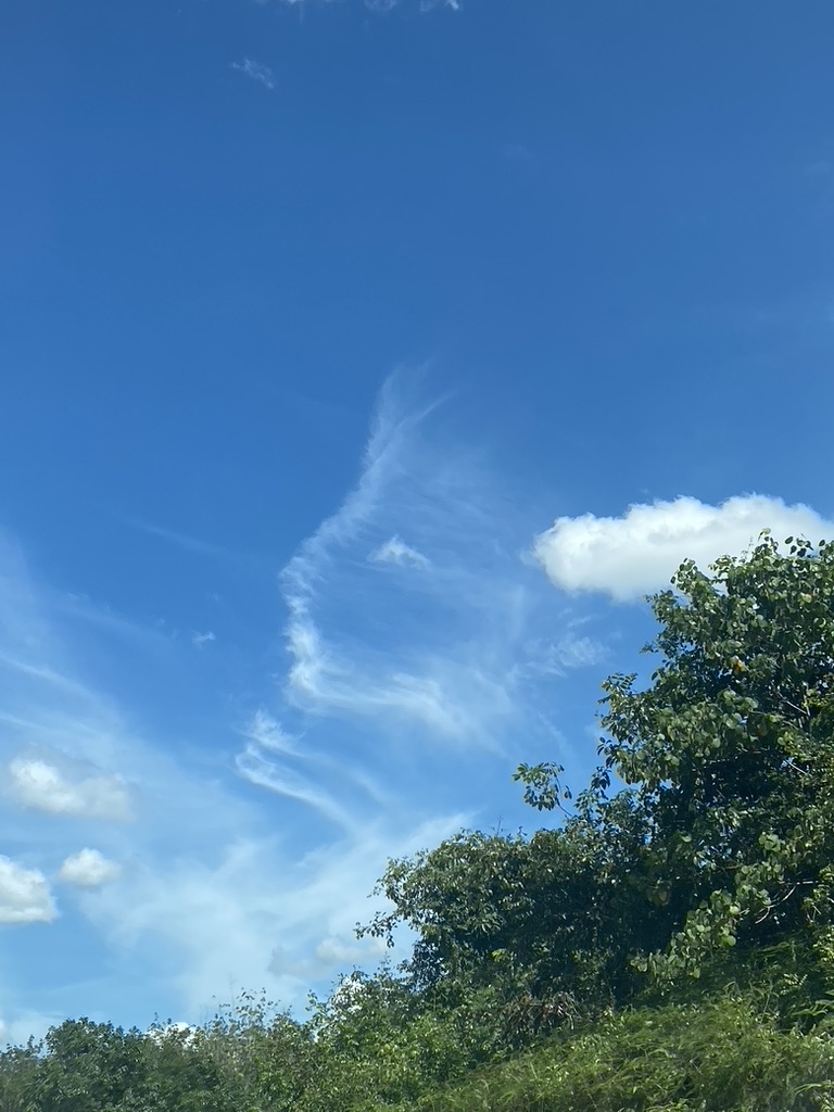 siminsabaghian's tweet photo. I've taken this picture, there is no edit or photoshop in it. I believe she is appeared in the sky to say that #Woman_is_the_light_of_the_life, hitting or killing a Woman would spread the darkness. https://t.co/TaLmch968F
