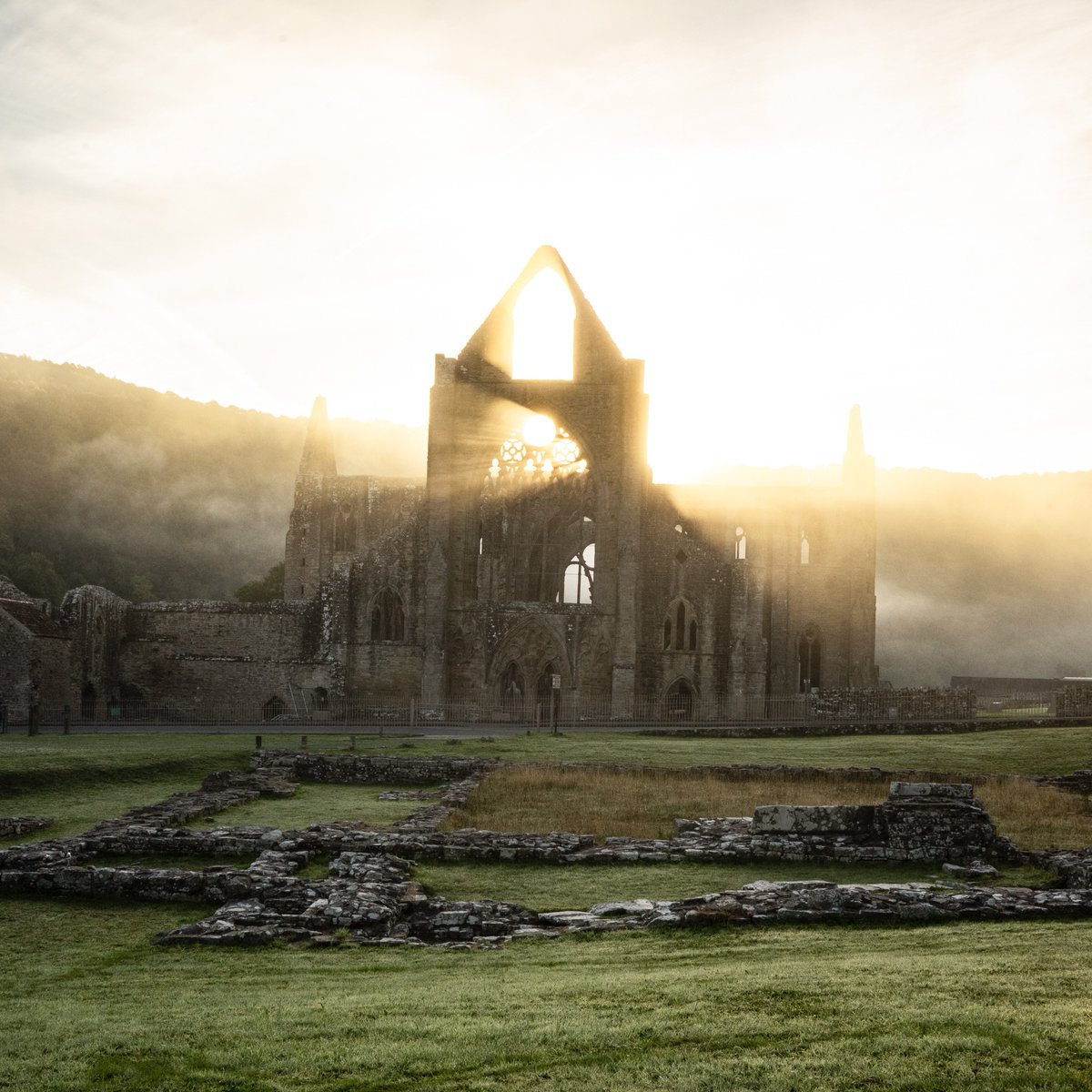 Into the light… 
#tinternabbey <a href="/visitwales/">Visit Wales 🏴󠁧󠁢󠁷󠁬󠁳󠁿</a> <a href="/WalesOnline/">WalesOnline 🏴󠁧󠁢󠁷󠁬󠁳󠁿</a> #StormHour #potd