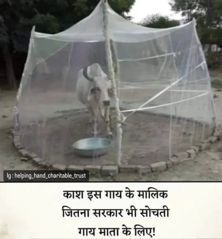 Helping Hands Charitable Trust on Twitter: "I wish now government of