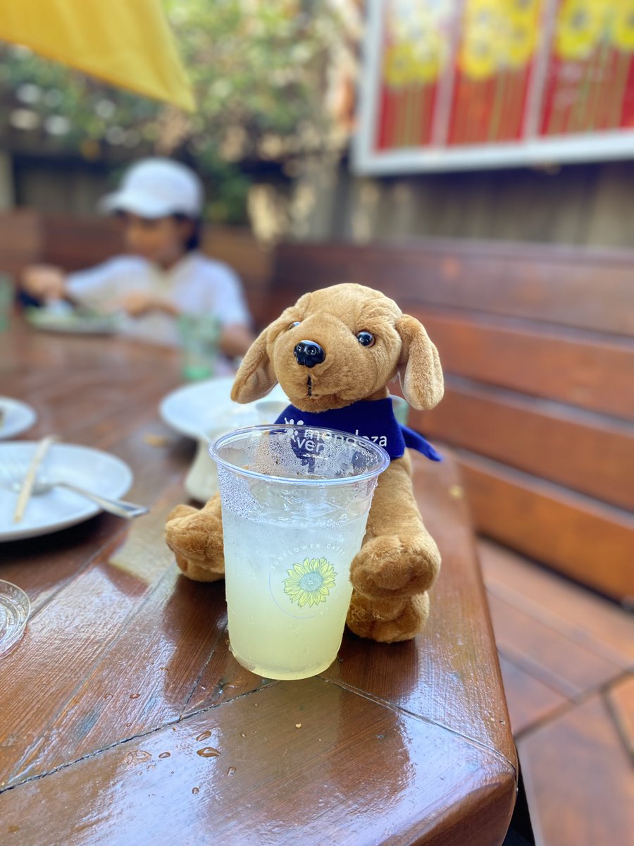 This is how I roll in SF #vcs