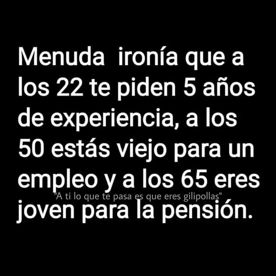 Anyta Amodeo tweet media