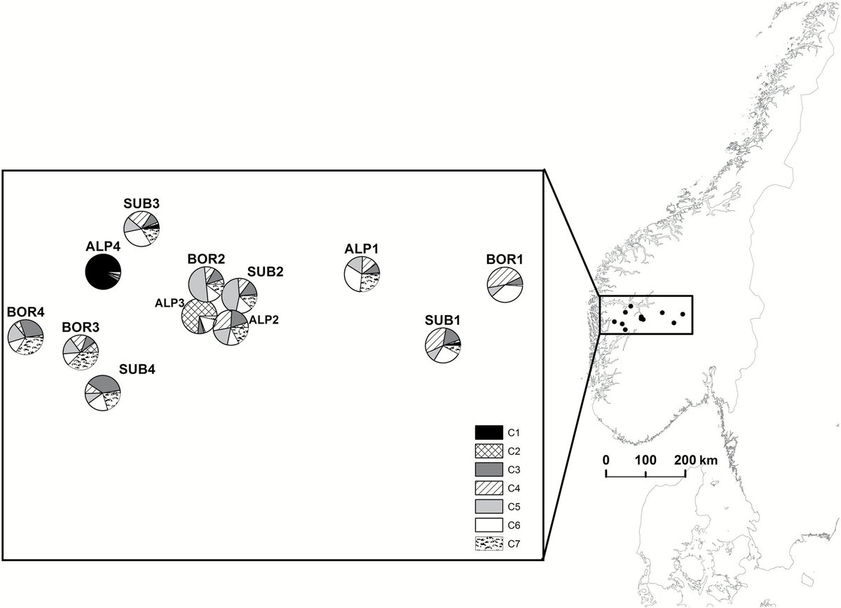 JPlantEcol's tweet image. EDITOR&apos;S CHOICE🌈Temperature and precipitation, but not geographic distance, explain genetic relatedness among populations in the perennial grass Festuca rubra doi.org/10.1093/jpe/rt…

#AMOVA, #hexaploid, #isolationbydistance,  #microsatellites, #Poaceae, #fuzzyclustering