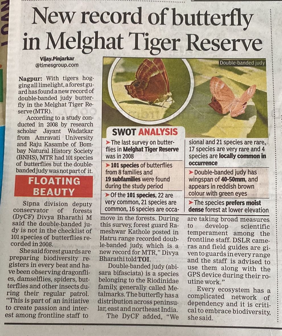 DivyaIFS's tweet photo. Hidden treasures of Melghat being explored by our Forest guards @magical_melghat !
Double banded Judy recorded for first time here.
#biodiversity #butterfly #conservation #work #workinforest https://t.co/cpmhleluJz
