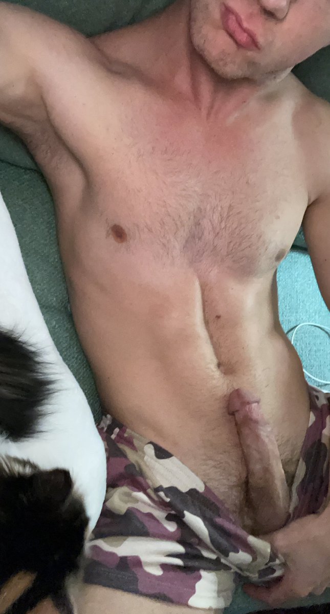 Calico_Cock's tweet photo. https://t.co/RY0BFkzEJv