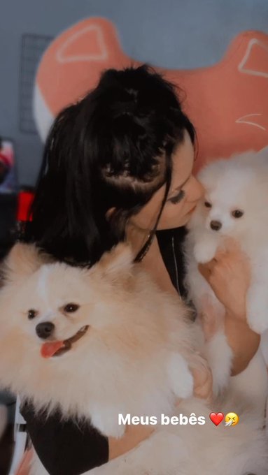 Meus gayszinhos ❤️🤧 https://t.co/IDCm15P3Eg