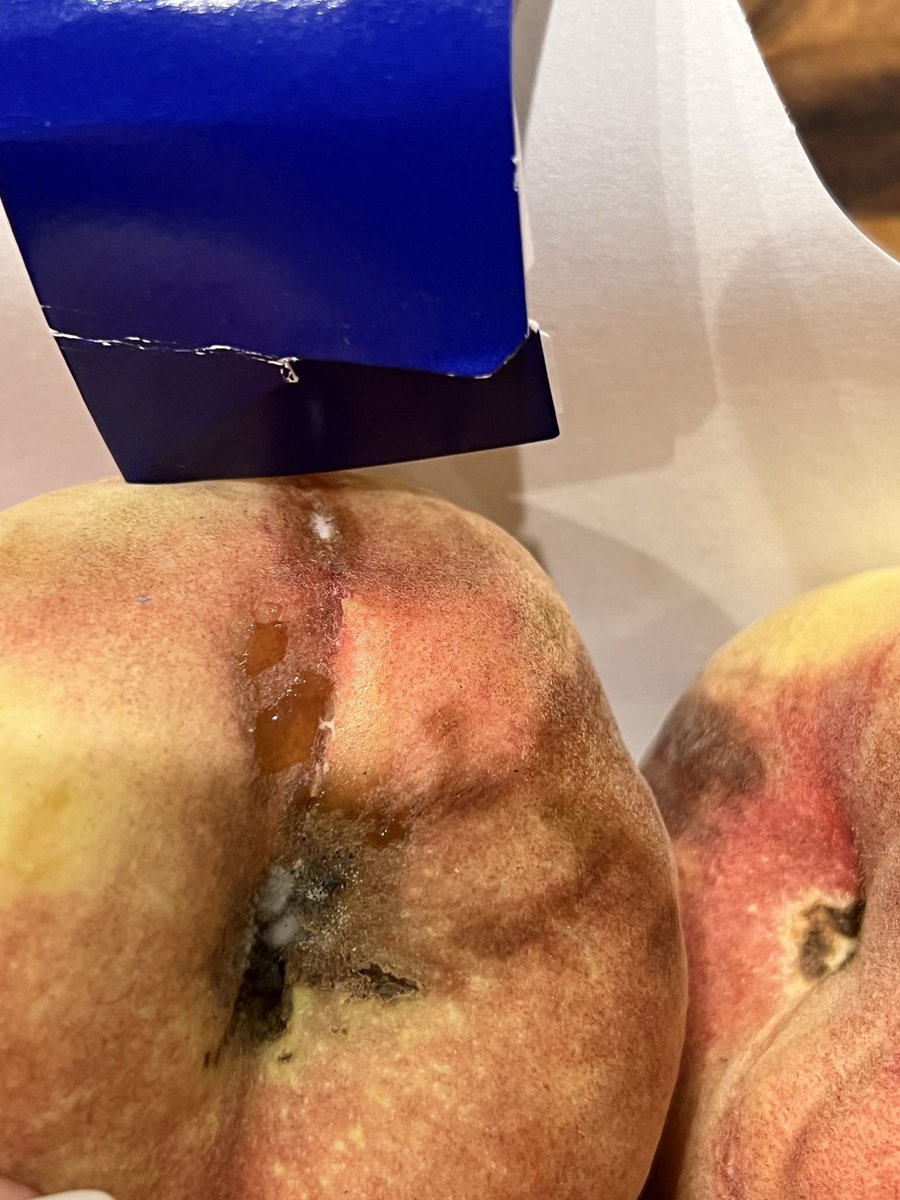 TracyinBoca's tweet photo. @Instacart what is your advice in regard to escalating customer service within your company? Shoppers are awful and your customer service is even worse. Been a loyal customer since 2016. Apparently these peaches don’t warrant a refund. https://t.co/xgRnz36C81