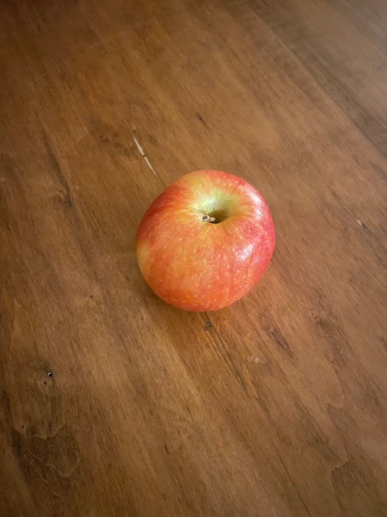 Jonathan Zettler 🇨🇦 tweet media