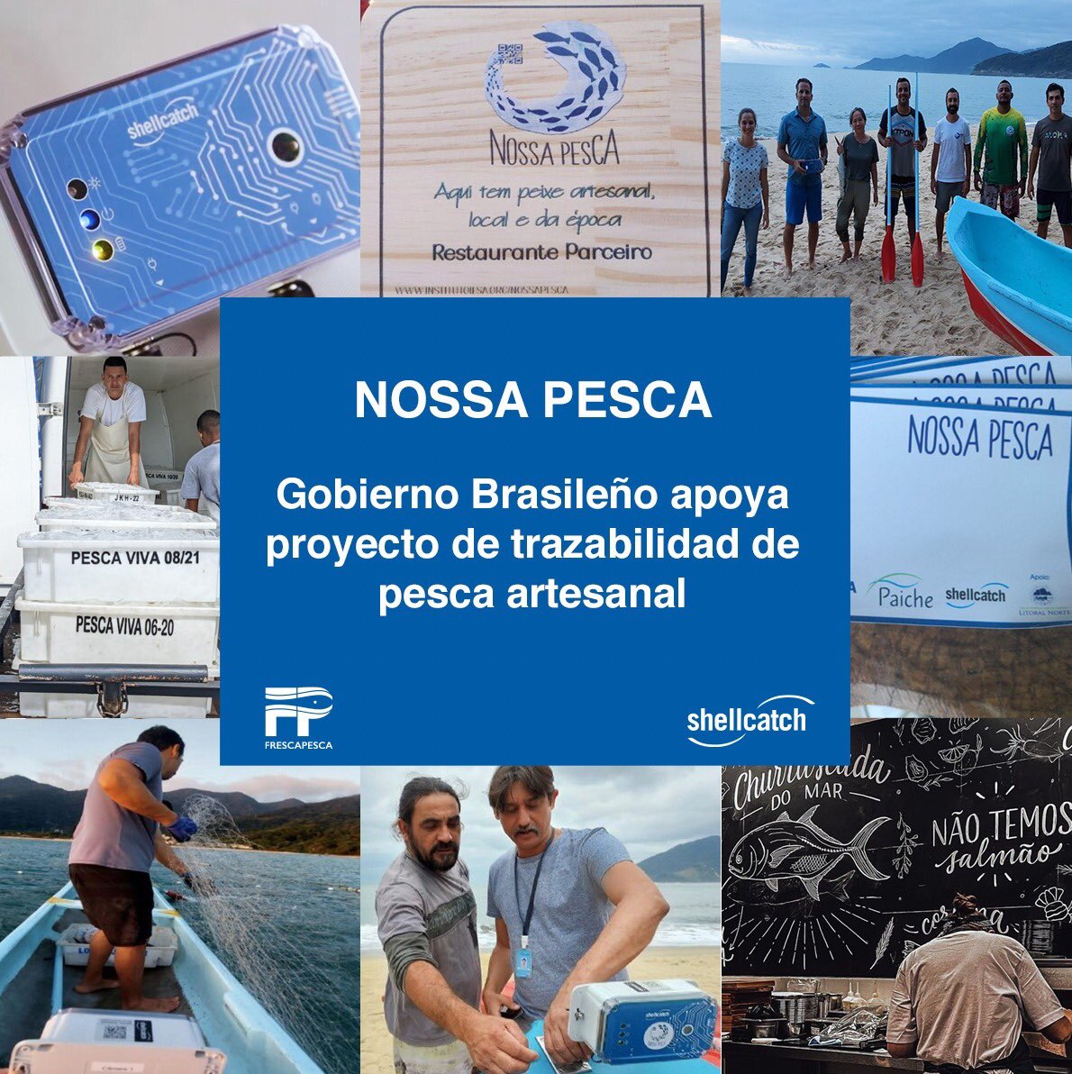 Shellcatch Ecuador tweet media