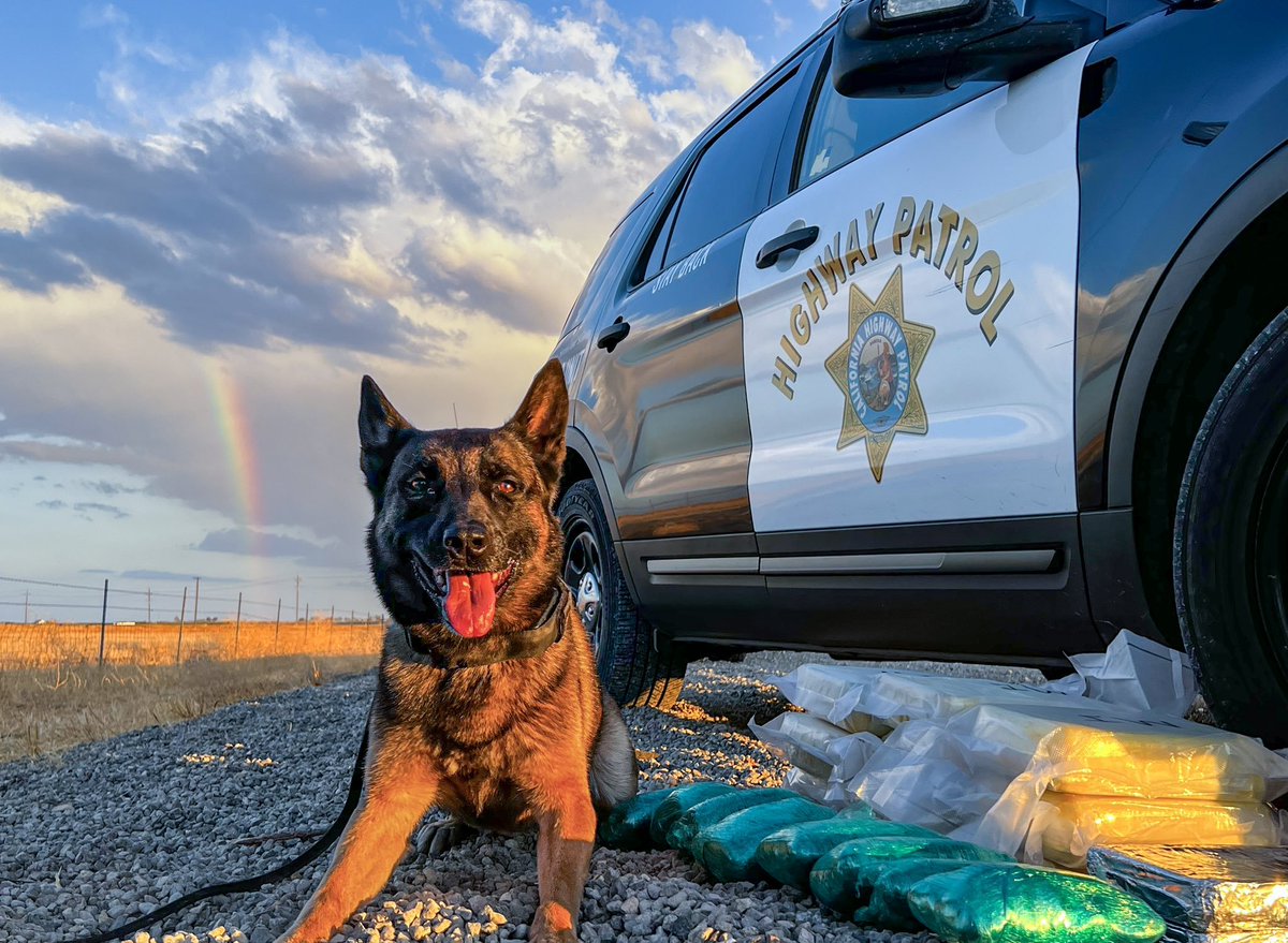 OnPatrolK9's tweet photo. What's at the End of a Rainbow?
Pure fur gold K9 Bruce is the answer
👊20 pounds meth, 4 fentanyl
https://t.co/fiK2J5j4wr
#BackTheBlue #ThinBlueLine #dog #K9 #police #WaronDrugs #OPLive #OnPatrolLive https://t.co/QAUCv7OdFZ