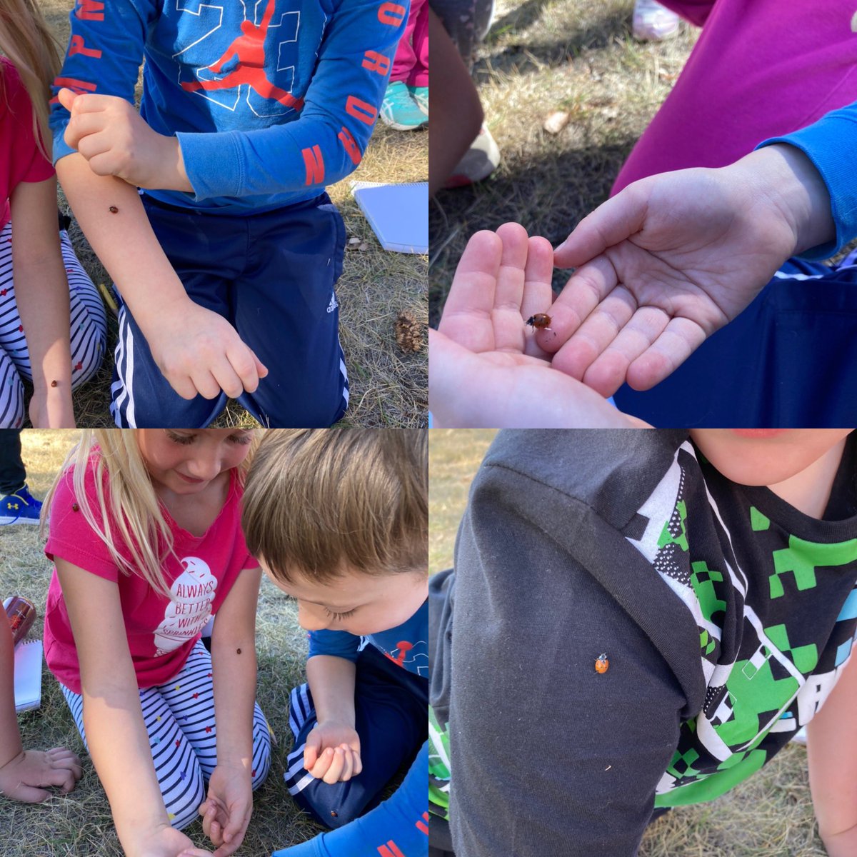 Mrs. Lepine tweet media