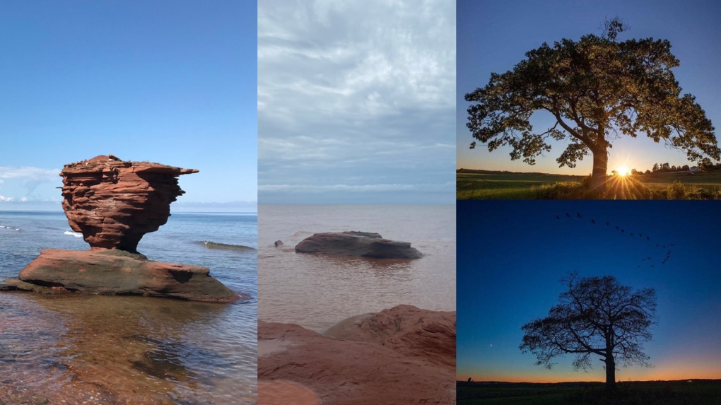 CTVNews's tweet photo. Iconic Teacup Rock, beloved 300-year-old N.S. tree among natural wonders lost to Fiona https://t.co/iCVU7mIZvh https://t.co/sTs5BrsLUH