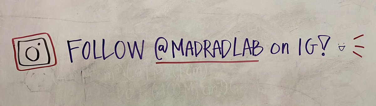 MadalynRadlauer's tweet photo. My research students started a lab IG account! #SJSUScience https://t.co/5uutmDkHde