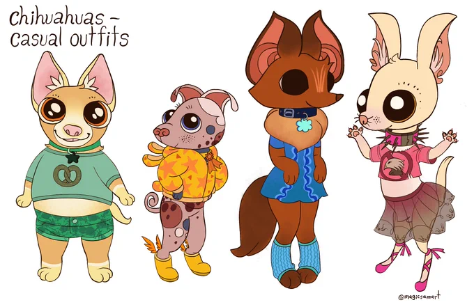 Chihuahuas are so amazing 