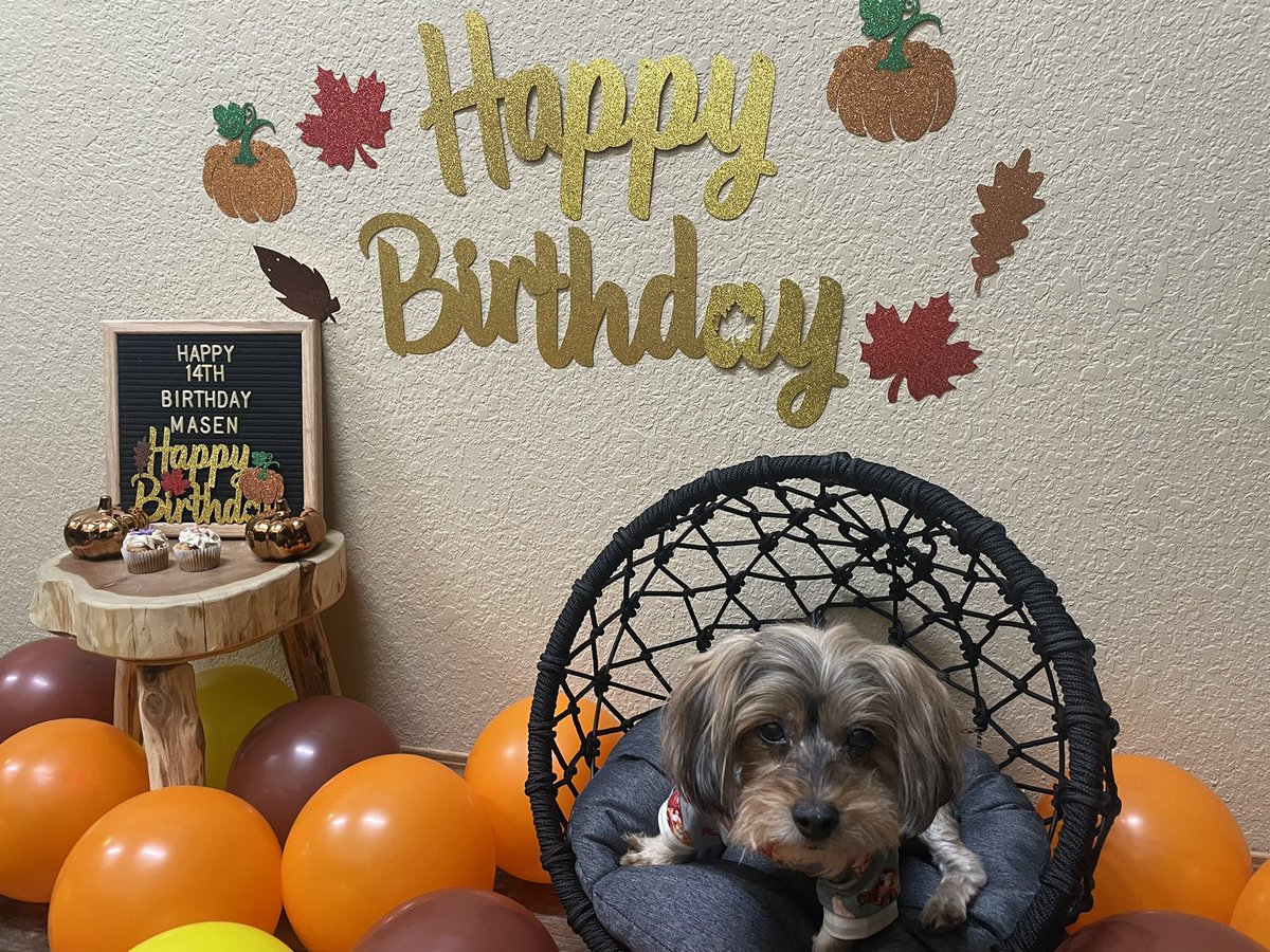 Happy 14th Birthday Masen