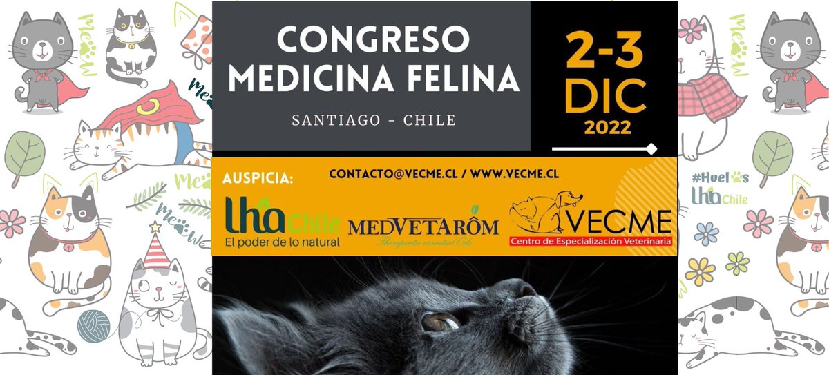 lha_chile's tweet photo. Informaciones a contacto@vecme.cl
#congreso #gatos #felinos #medicosveterinarios https://t.co/nuNpH8exfu