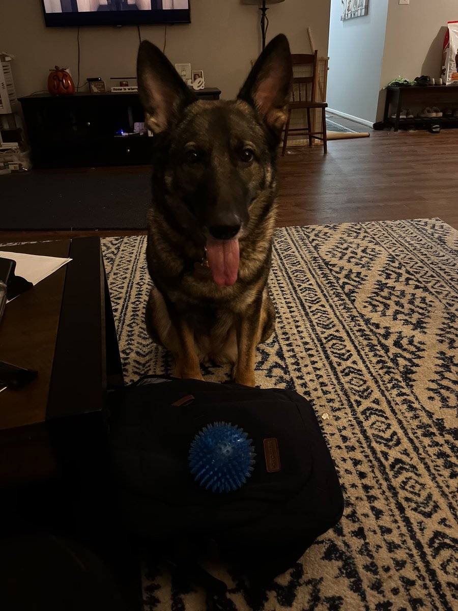 Mrs. Hill tweet media