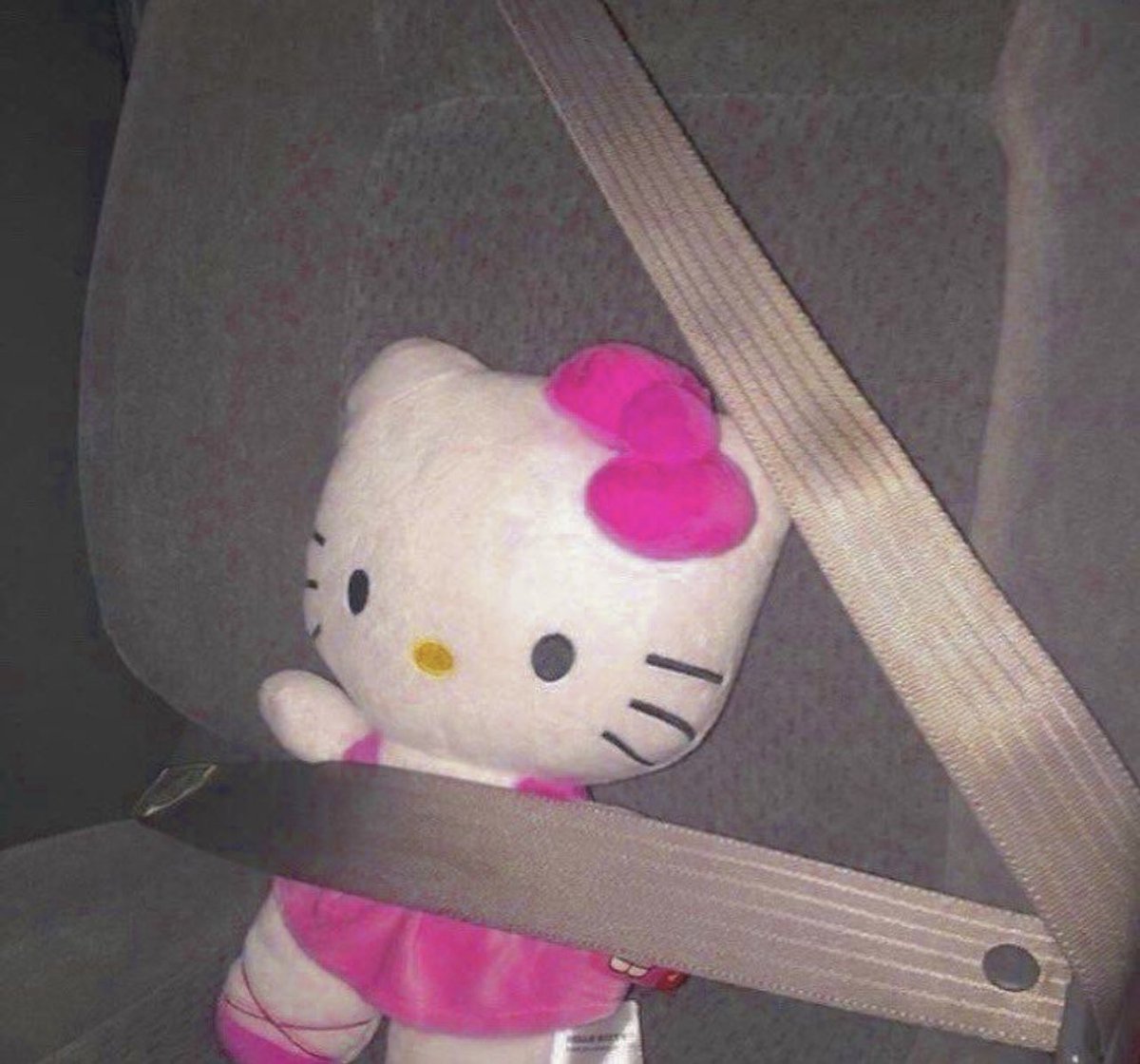 ufobri's tweet photo. passenger princess <3 https://t.co/2cWO3v4gyi