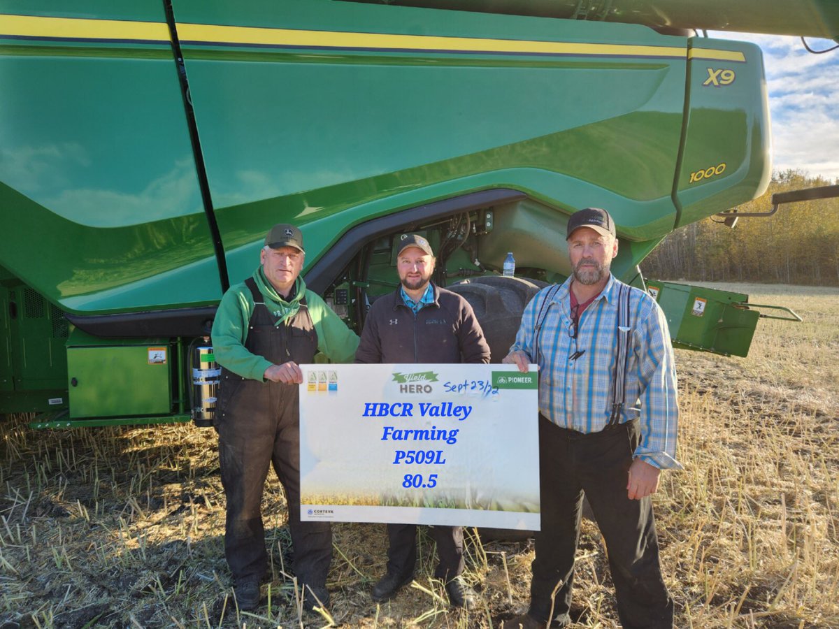 Congrats RidgeValley Colony on taking the lead in the Peace Country Pioneer Hi-Bred’s weigh off for the Yield Hero Competition. Thats a monster of a yield John!  #Yieldhero, #Pioneerseed.CA, #Corteva.ca