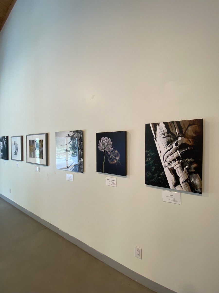 The spectacular <a href="/NatureArtists/">Artists4Conservation</a> exhibition at Maplewood Flats continues until Oct 6th and is open on Tues /Thurs / Sat/ Sun 11am - 3pm.

With 25% of purchase prices supporting Wild Bird Trust of BC. Come check out these beautiful works of art at the Nature House!