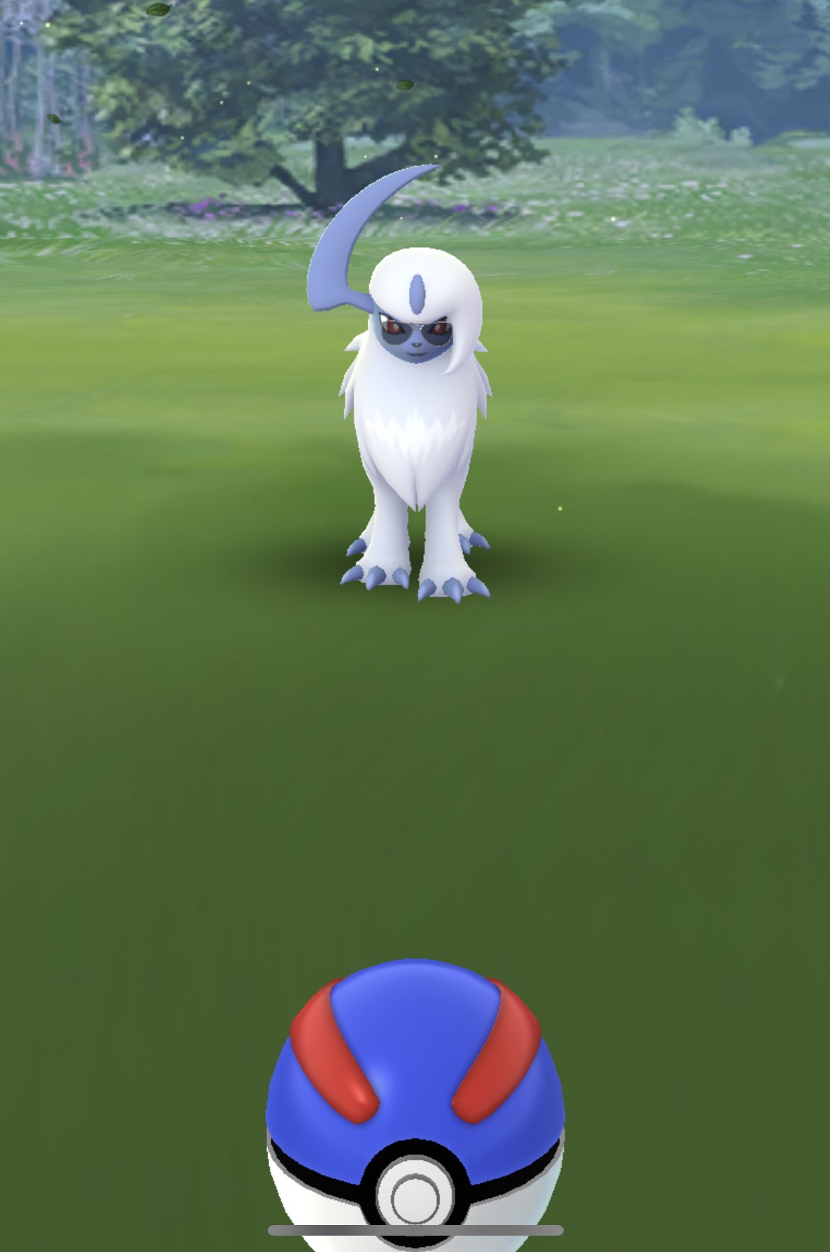 ゆい ポケカ サングラスかけてるアブソル見つけた かわいい ơwơ ポケモンgo Pokemon T Co 4cakjhxjxk Twitter