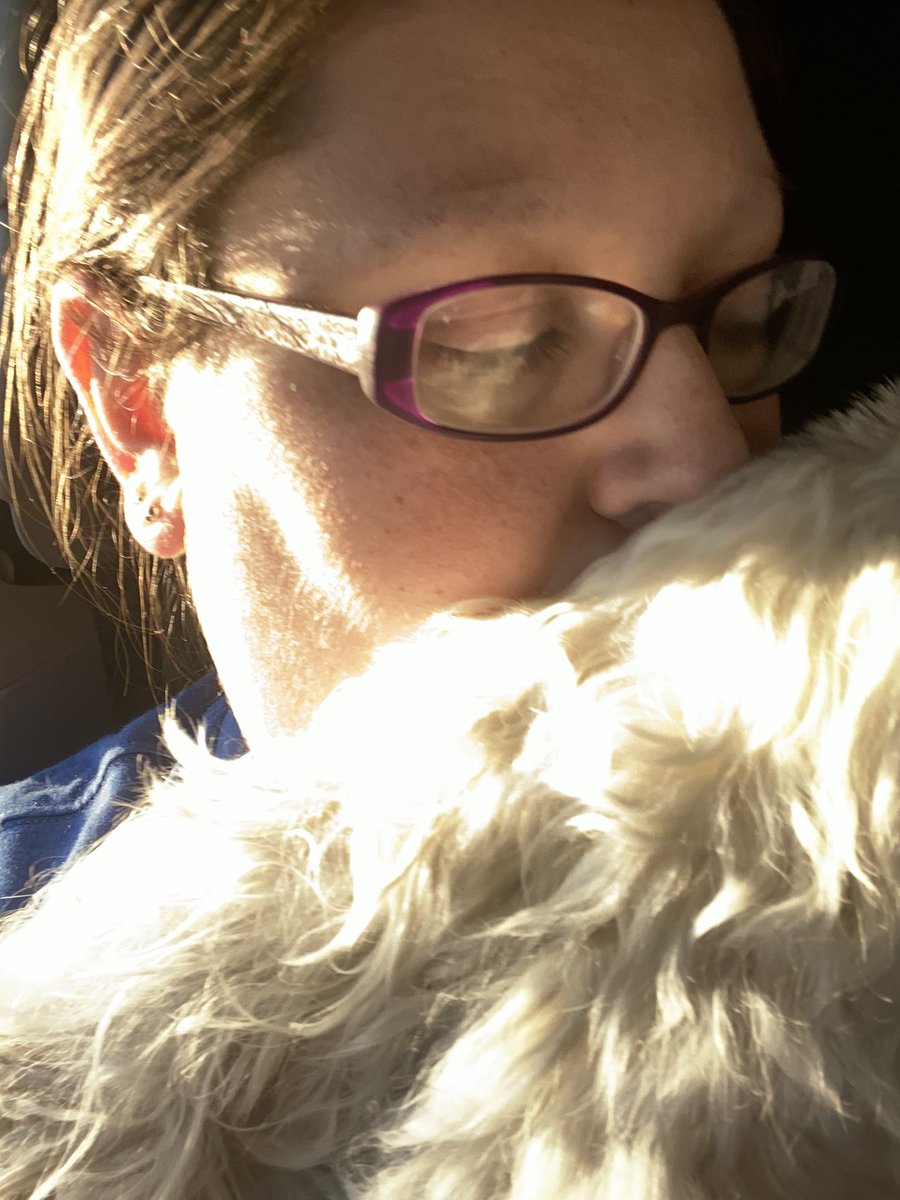 Mir 👵🏻🎃 tweet media