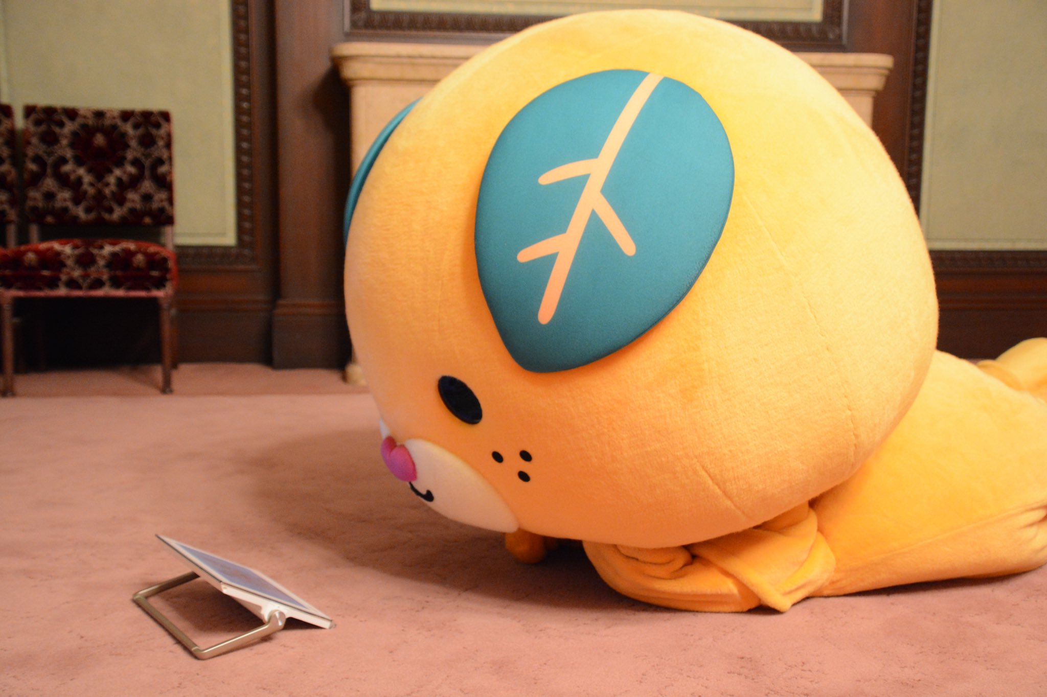 みきゃん 公式 愛媛県イメージアップキャラクター Micanehime Twitter