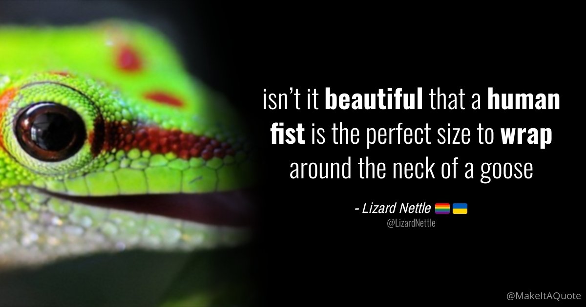 🦎Lizard Nettle🌿 🇵🇸 tweet media