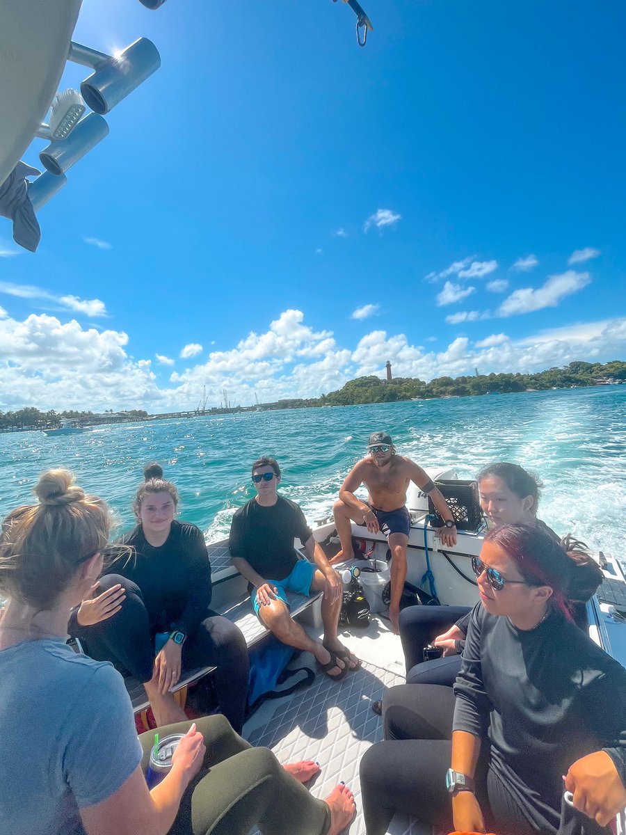 Deb (Santos de Azevedo) Menna tweet media