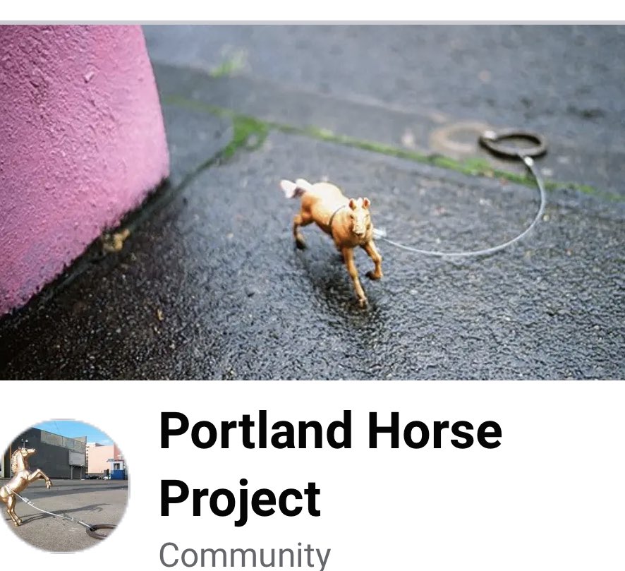 OregonAlly's tweet photo. @candaceforpdx Only if tiny horses are attached too! https://t.co/wO0EAW6zyG