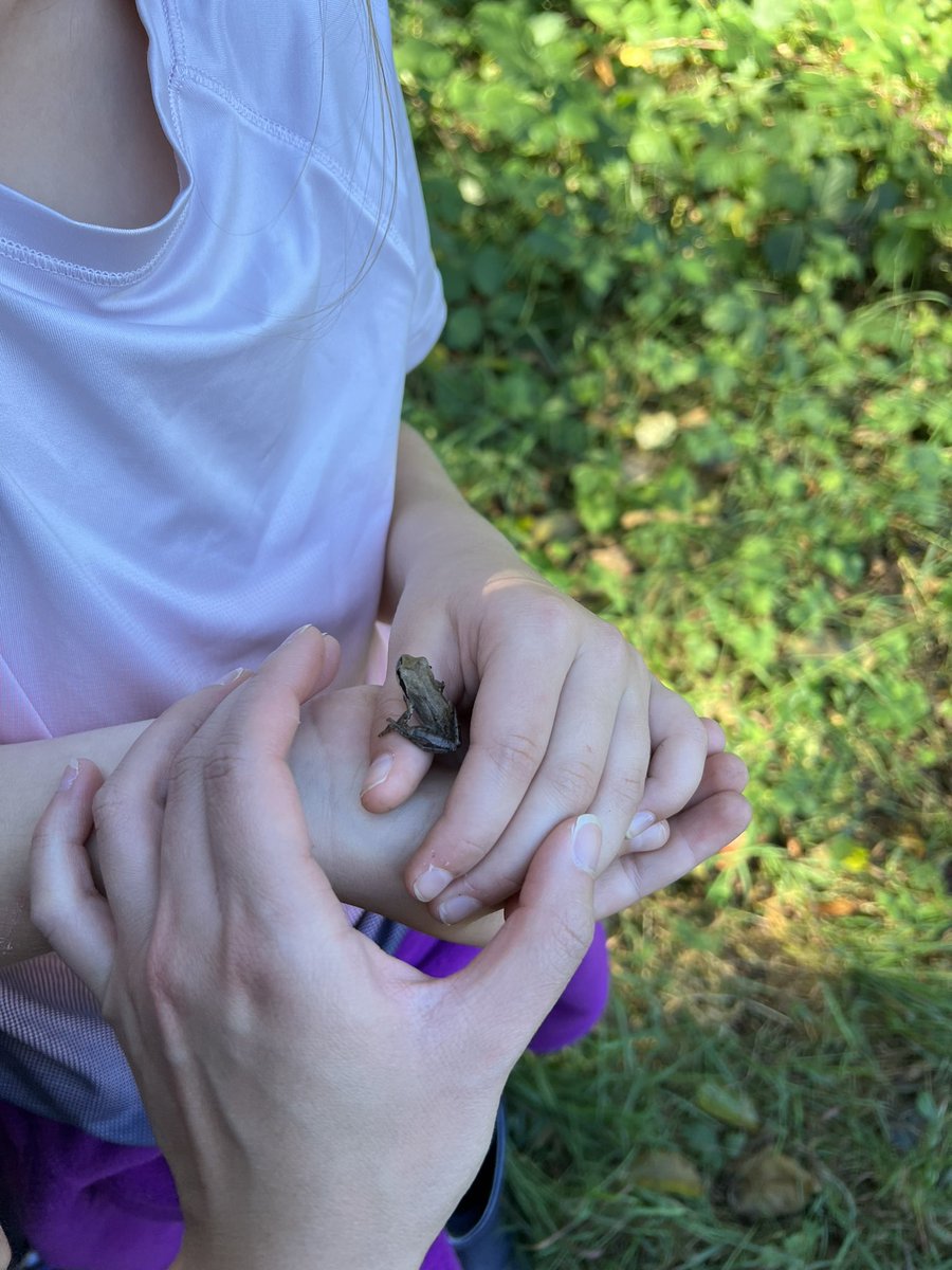 Jericho last week was stunning - we explored the pond area and the life around it 🐸 ask us about “daphnia” and why they are keystone species in this pond!