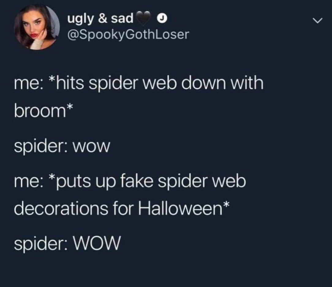 🕷️🕸️