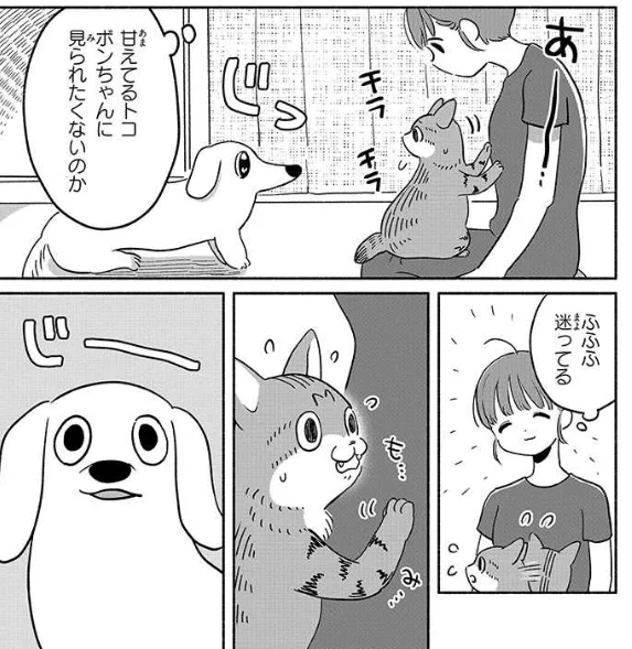 昨日も更新してました✌ 
