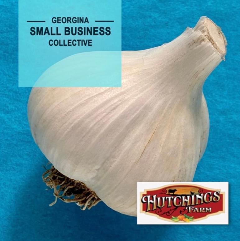FarmHutchings's tweet photo. We are in the box! @georginasbcollective sign up by October 1st to support some great local Georgina businesses ๐#hutchingsfarm #musicgarlic https://t.co/lKcjrmtSPh