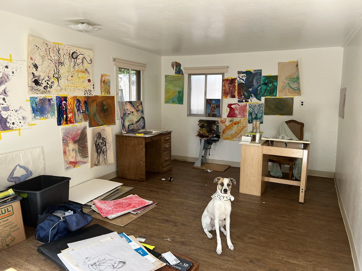 iamKay🌞Sol tweet media