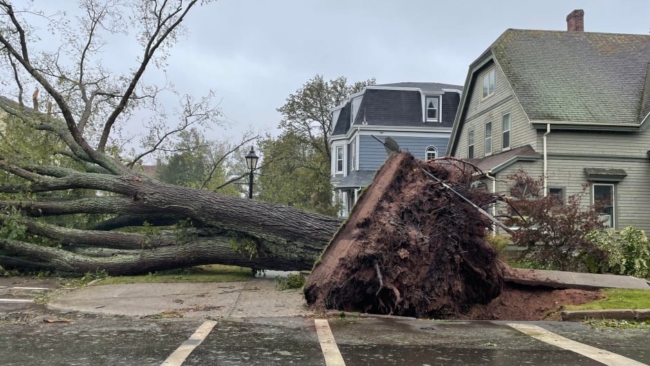 IslandEMS's tweet photo. Please respect our line men/women and allow them to work to restore our #PEI power.
https://t.co/jUNqW5Cddf
#RestoringPower #Safely https://t.co/yzincXA1Na