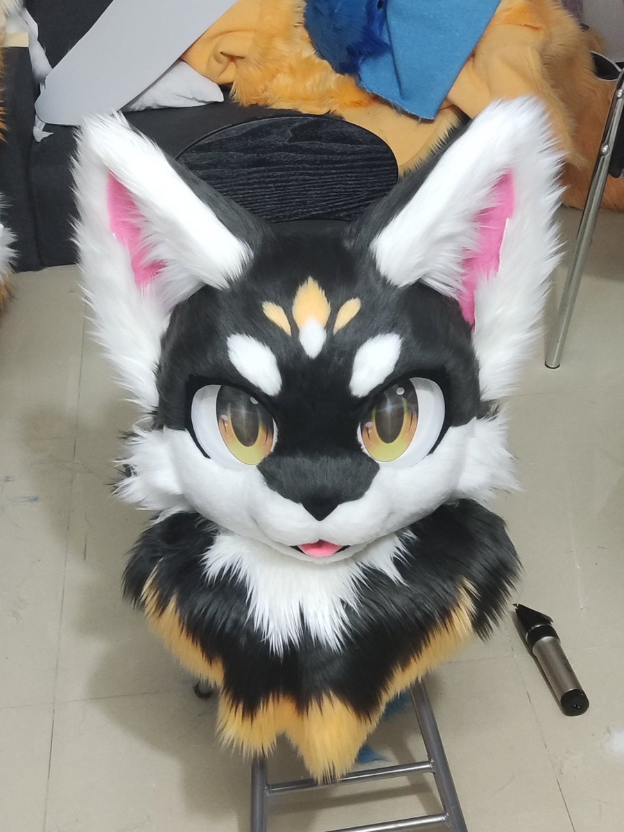 catzero2333's tweet image. Modified the pattern on the top of the head according to the client's request. xwx
#furry #fursuit #furries #furryart #handmade #furrycommission #kemonosuit #kemonofursuit #furryfandom #furrycommunity #fursuitmaker #furart #kemono #FursuitEveryday