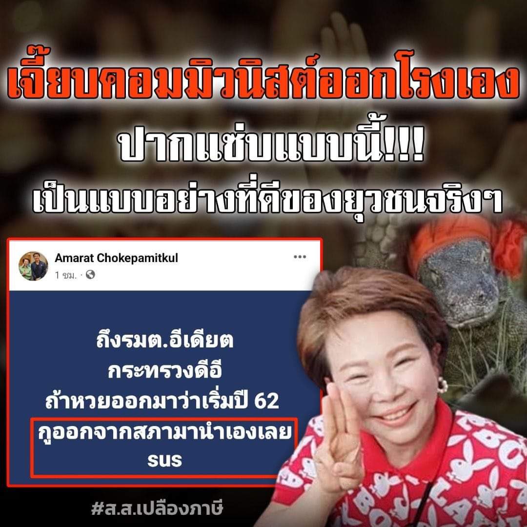 เด็กเลี้ยงแกะ tweet media