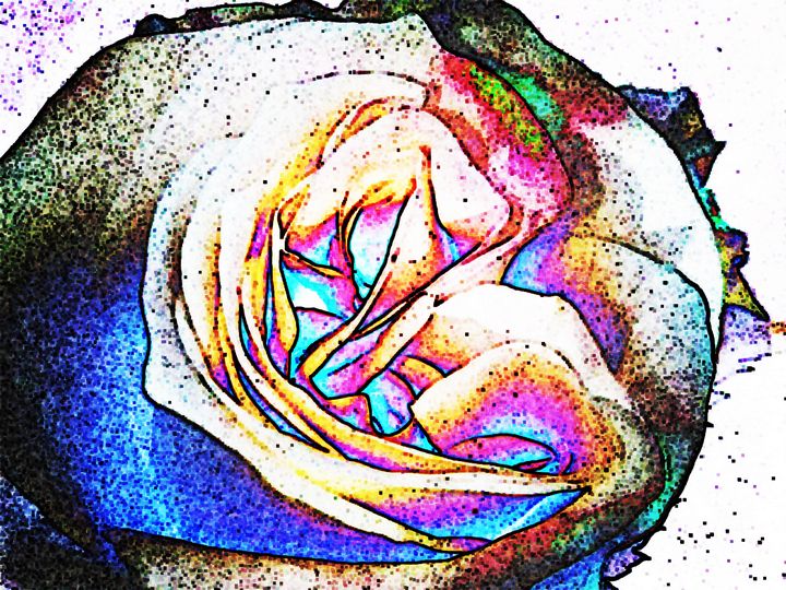 Featured Art of the Day: "Multi colored rose.". Buy it at: ArtPal.com/JD1?i=128036-10