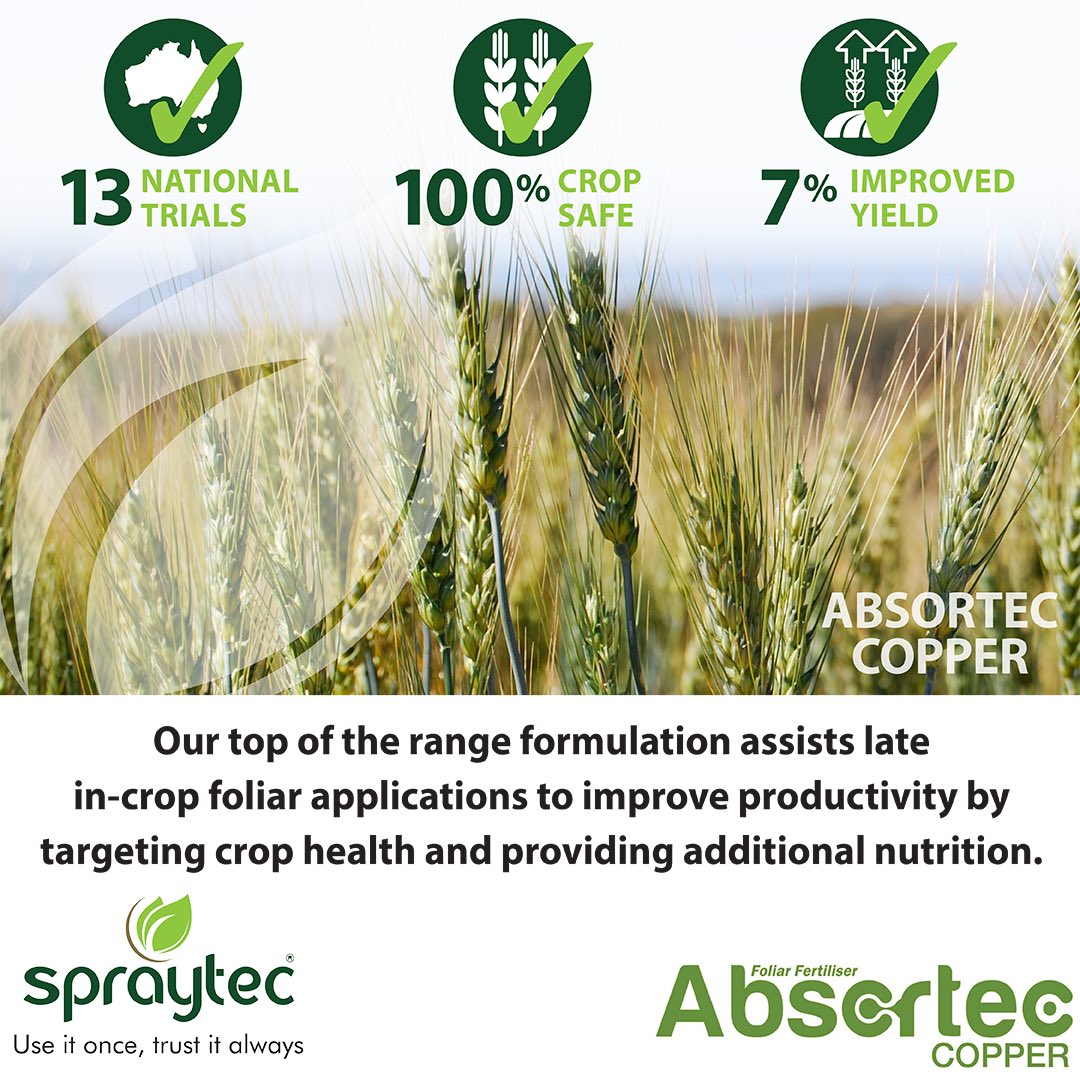 spraytec_aus's tweet photo. Conducting final in-crop spray applications? Why not consider our premium phytostimulant #ABSORTECCOPPER; an innovative formulation enhancing in-crop applications to boost yields. Possesses increased nitrogen, paired with penetrative application technology to promote crop health. https://t.co/6EtBBqr5t3